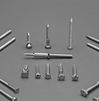 Self Tapping Screws